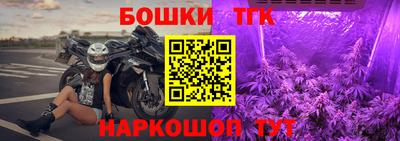 крисы Гай