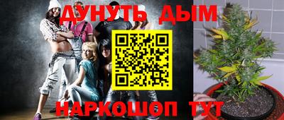 крисы Гай
